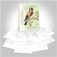 Paint-Your-Own Botanical Postcards 24 detachable postcards to paint in by de Winton, Harriet, 9781846017100