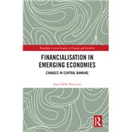 Financialisation in Emerging Economies: Changes in Central Banking by Painceira; Juan Pablo, 9781138947115
