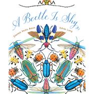A Beetle Is Shy by Aston, Dianna Hutts; Long, Sylvia, 9781452127125