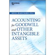 Accounting for Goodwill and Other Intangible Assets by Black, Ervin L.; Zyla, Mark L., 9781119157151