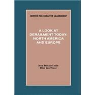 A Look at Derailment Today: North America and Europe by Leslie, Jean Brittain; Van Velsor, Ellen, 9781882197156