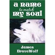 A Name to Match My Soul by Wolf, James; Parente, Audrey, 9781503227163