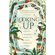 Looking Up by Courtney Ellis, 9781514007167