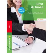 Les Fondamentaux Droit du travail 2020-2021 by Martine Le Bihan-Gunol, 9782017117186