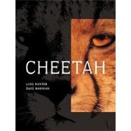 Cheetah by Hunter, Luke, 9781868727193