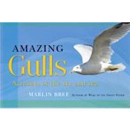 Amazing Gulls Acrobats of the Sky and Sea by Bree, Marlin, 9781892147196