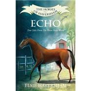 Echo by Haversham, Elsie, 9781497307216