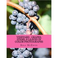 Vineyard by McEwen, Rolf, 9781502557223