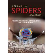 A Guide to Spiders of Australia by Zborowski, Paul, 9781921517242