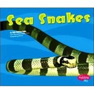 Sea Snakes by Sullivan Rake, Jody, 9780736867252