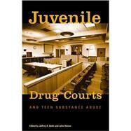 Juvenile Drug Courts And Teen Substance Abuse by Roman, John; Butts, Jeffrey A., 9780877667254