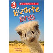 Bizarre Birds (Scholastic Reader, Level 2) by Horning, Sandra, 9781338047257