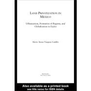 Land Privatization in Mexico : Urbanization, Formation of Regions, and Globalization in Ejidos by Castillo, Maria Teresa Vazquez, 9780203327258