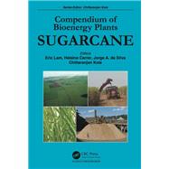 Sugarcane by Lam, Eric; Carrer, Helaine; Da Silva, Jorge A.; Kole, Chittaranjan, 9780367377281