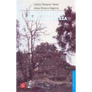 La destruccin de la naturaleza by Vzquez Yanes, Carlos y Alma Orozco Segovia, 9789681667283