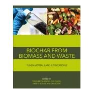 Biochar from Biomass and Waste by Ok, Yong Sik; Tsang, Daniel; Bolan, Nanthi; Novak, Jeffrey, 9780128117293