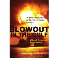 Blowout in the Gulf by Freudenburg, William R.; Gramling, Robert, 9780262517294