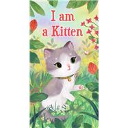 I am a Kitten by Risom, Ole; Mueller, Olivia Chin, 9781524767297