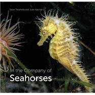 In the Company of Seahorses by Trewhella, Steve; Hatcher, Julie, 9780995567320