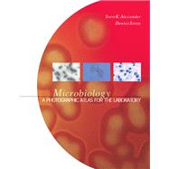Microbiology A Photographic Atlas for the Laboratory by Alexander, Steven K., Ph.D.; Strete, Dennis, 9780805327328