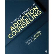 Theory and Practice of Addiction Counseling by Lassiter, Pamela S.; Culbreth, John R., 9781506317335