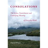 Consolations by Whyte, David, 9781932887341