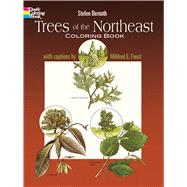 Trees of the Northeast Coloring Book by Bernath, Stefen, 9780486237343
