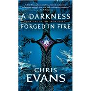 A Darkness Forged in Fire Book One of the Iron Elves by Evans, Chris, 9781501127403