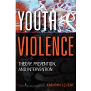 Youth Violence by Seifert, Kathryn, Ph.D.; Ray, Karen, Ph.D. (CON); Schmidt, Robert (CON), 9780826107404