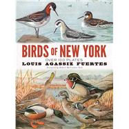 Birds of New York by Fuertes, Louis Agassiz; Peck, Robert McCracken, 9780486837406