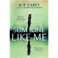 Someone Like Me by Carey, M. R., 9780316477420