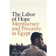 The Labor of Hope by Harry Pettit, 9781503637443