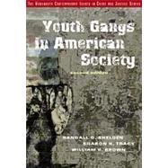 Youth Gangs in American Society by Shelden, Randall G.; Tracy, Sharon K.; Brown, William B., 9780534527457