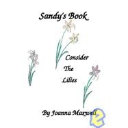 Sandy's Book by Maxwell, Joanna, 9781419647475