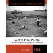 Point of Pines Pueblo by Stone, Tammy, 9781607817475