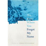 The River Where You Forgot My Name by Williamson, Corrie, 9780809337477