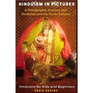 Hinduism in Pictures by Sharma, Shalu, 9781523897483