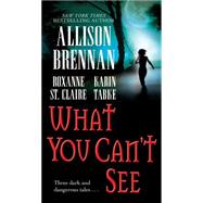 What You Can't See by Brennan, Allison; Tabke, Karin; St. Claire, Roxanne, 9781501107498