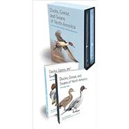Ducks, Geese, and Swans of North America by Baldassarre, Guy; Sheaffer, Susan (CON), 9781421407517