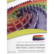 Homosexuality Around the World by Seba, Jaime A., 9781422217535