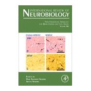 New Therapeutic Strategies for Brain Edema and Cell Injury by Sharma, Hari Shanker; Sharma, Aruna, 9780128167540
