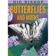 Nic Bishop: Butterflies and Moths by Bishop, Nic; Bishop, Nic, 9780439877572