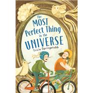 The Most Perfect Thing in the Universe by Springstubb, Tricia, 9780823447572