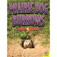 Prairie Dog Burrows by Forest, Christopher, 9781489697578