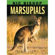 Nic Bishop: Marsupials by Bishop, Nic, 9780439877589