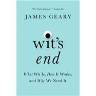 Wit's End What Wit Is, How It Works, and Why We Need It by Geary, James, 9780393357592
