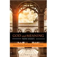 God and Meaning New Essays by Seachris, Joshua W.; Goetz, Stewart, 9781628927597