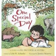 One Special Day A Story for Big Brothers and Sisters by Schaefer, Lola; Meserve, Jessica, 9781423137603