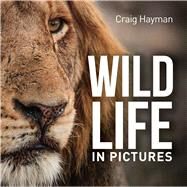 Wildlife in Pictures by Hayman, Craig, 9781921517624