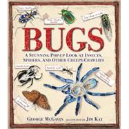 Bugs A Stunning Pop-up Look at Insects, Spiders, and Other Creepy-Crawlies by McGavin, George; Kay, Jim, 9780763667627